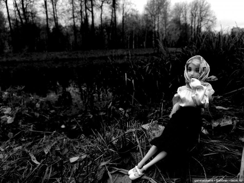 Темный лес — Туризм и путешествия: фотоотчеты из поездок (фото 7)