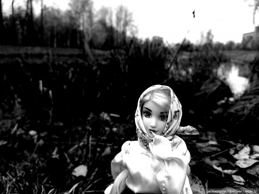 Темный лес — Туризм и путешествия: фотоотчеты из поездок (фото 8)