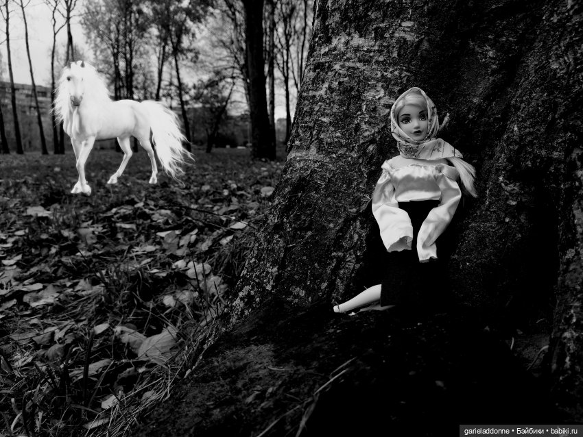 Темный лес — Туризм и путешествия: фотоотчеты из поездок (фото 4)