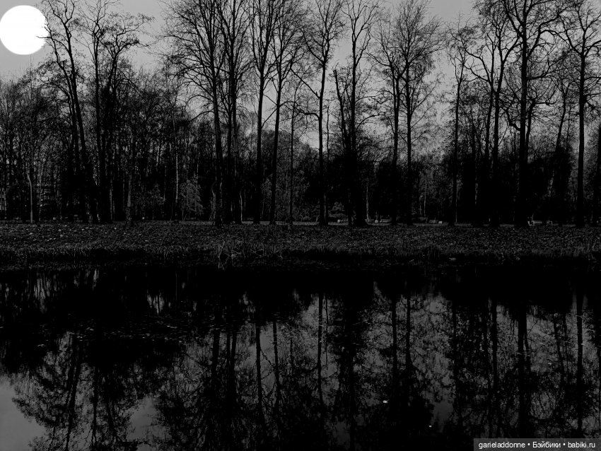 Темный лес — Туризм и путешествия: фотоотчеты из поездок