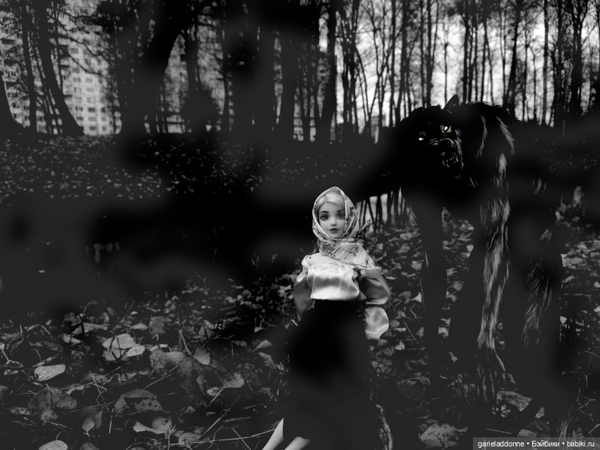 Темный лес — Туризм и путешествия: фотоотчеты из поездок