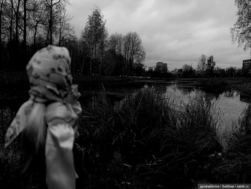 Темный лес — Туризм и путешествия: фотоотчеты из поездок