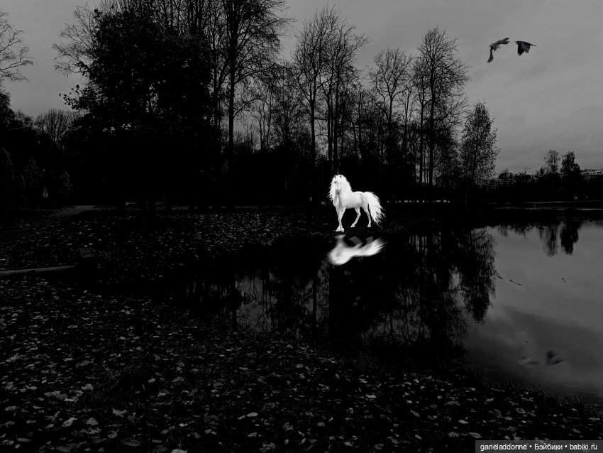 Темный лес — Туризм и путешествия: фотоотчеты из поездок