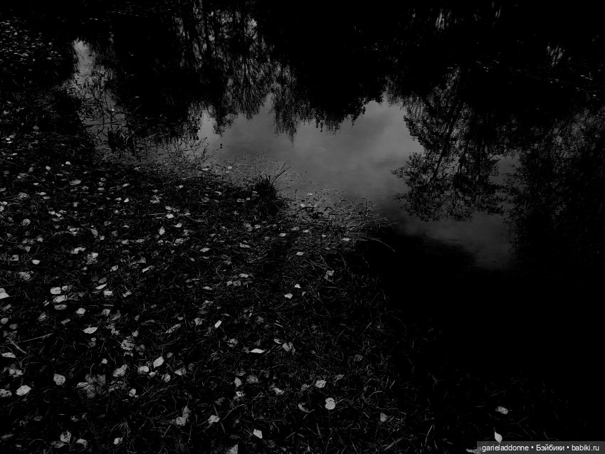 Темный лес — Туризм и путешествия: фотоотчеты из поездок (фото 10)