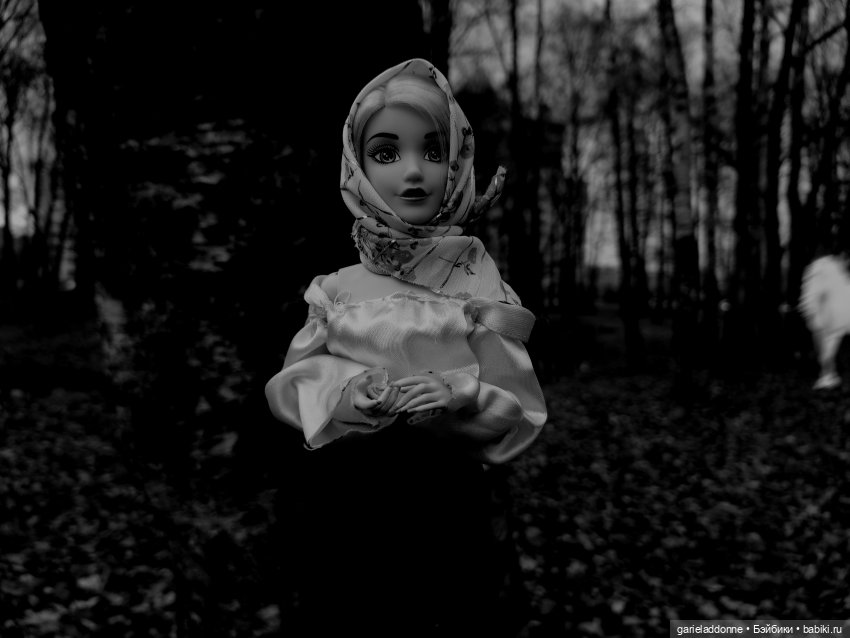 Темный лес — Туризм и путешествия: фотоотчеты из поездок (фото 3)