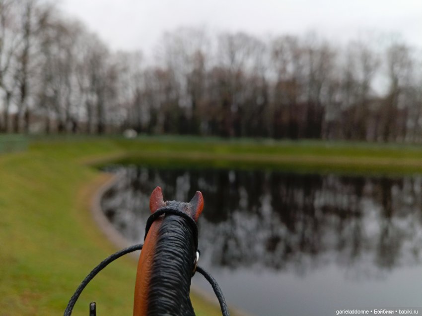 Последний день Осени. Прогулка с Конем и Псом (фото 4)