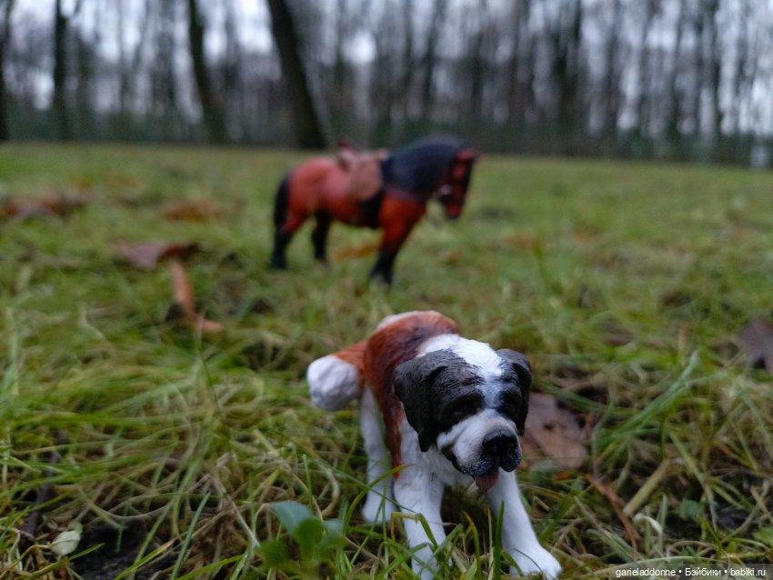 Последний день Осени. Прогулка с Конем и Псом (фото 10)