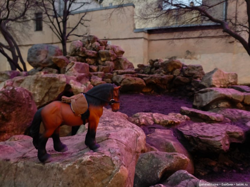 Последний день Осени. Прогулка с Конем и Псом