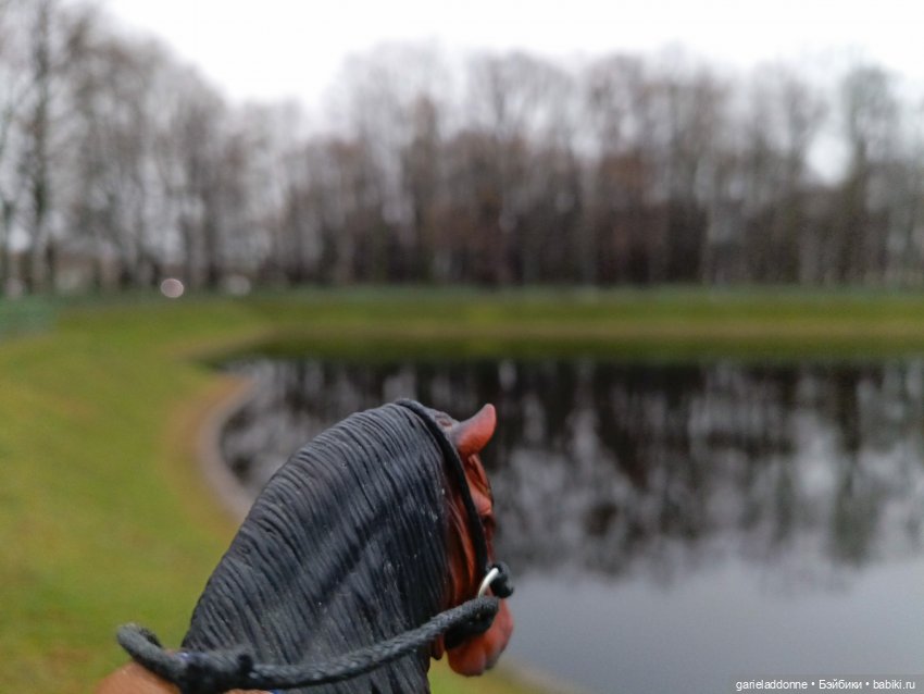 Последний день Осени. Прогулка с Конем и Псом