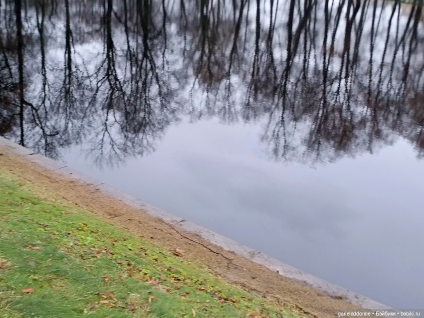 Последний день Осени. Прогулка с Конем и Псом (фото 2)