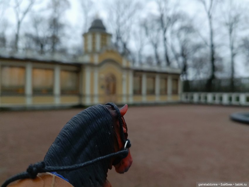 Последний день Осени. Прогулка с Конем и Псом