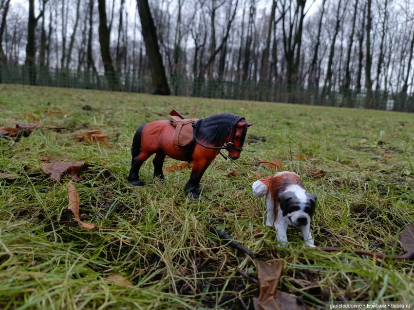 Последний день Осени. Прогулка с Конем и Псом (фото 8)