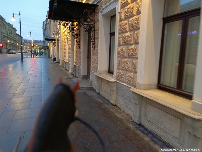 Последний день Осени. Прогулка с Конем и Псом