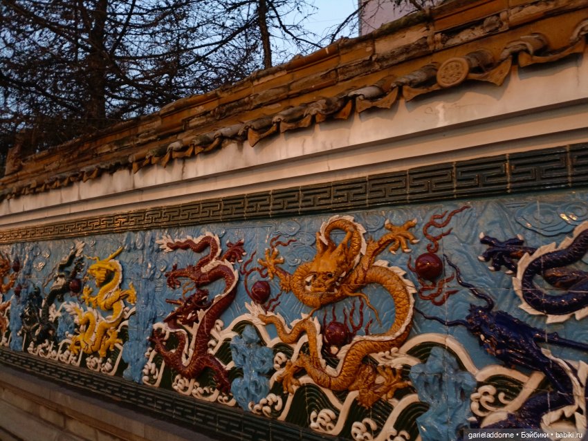 Последний день Осени. Прогулка с Конем и Псом