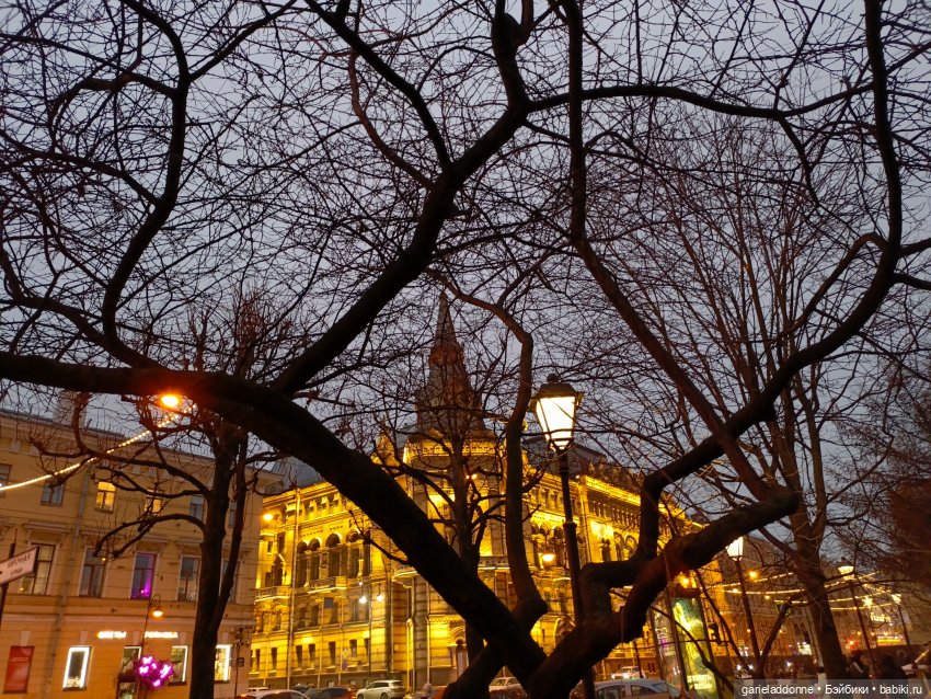 Последний день Осени. Прогулка с Конем и Псом