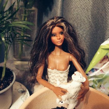 Рукопись, найденная в кашпо часть 2