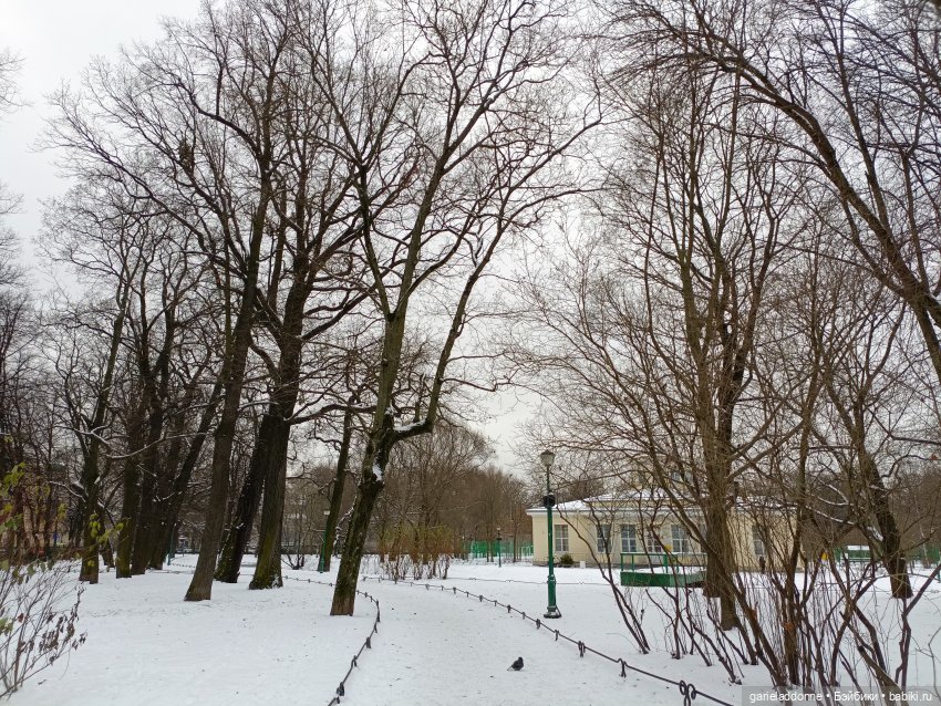 Фамке в Таврическом Саду — Туризм и путешествия: фотоотчеты из поездок (фото 5)