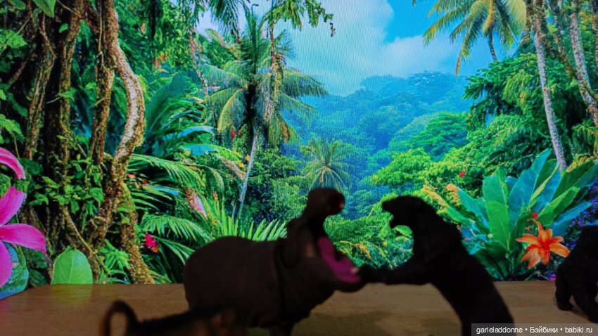 Бумажное сердце 2 часть — Зарисовки из кукольной жизни: фотоистории