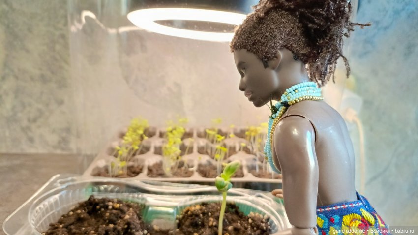 Бумажное сердце 2 часть — Зарисовки из кукольной жизни: фотоистории (фото 5)