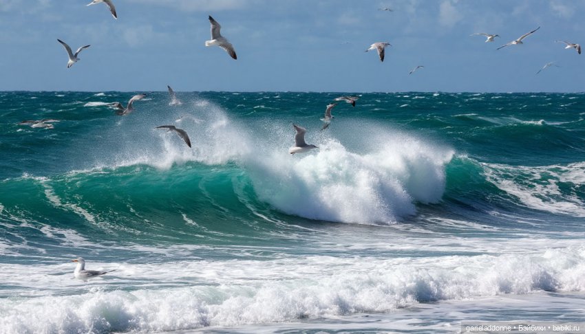 Бумажное сердце 3 часть — Зарисовки из кукольной жизни: фотоистории