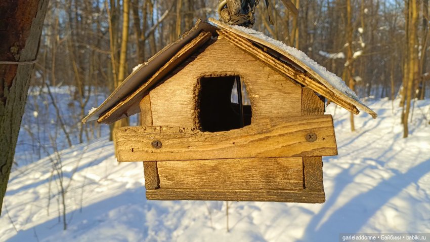 Дожили до весны | Бэйбики Дожили до весны — Проба пера: рассказы (фото 6)