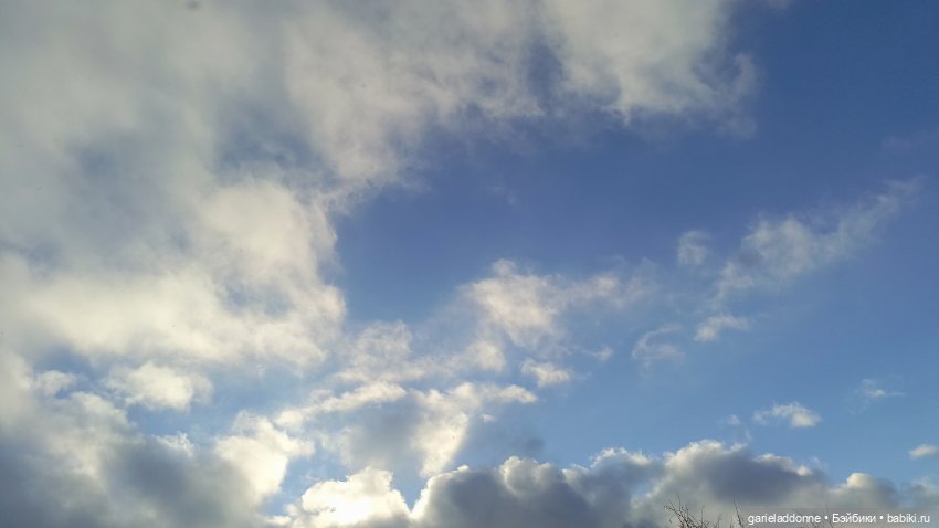 Дожили до весны | Бэйбики Дожили до весны — Проба пера: рассказы