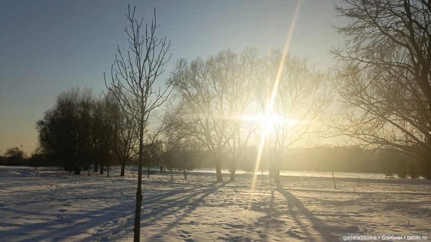 Дожили до весны | Бэйбики Дожили до весны — Проба пера: рассказы (фото 7)