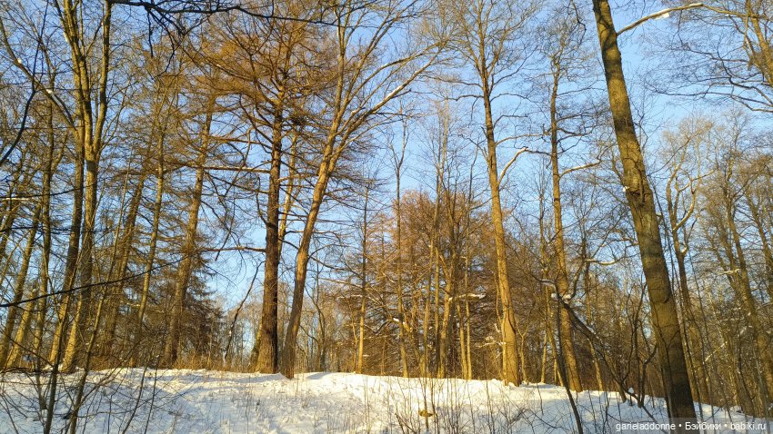 Дожили до весны | Бэйбики Дожили до весны — Проба пера: рассказы (фото 4)