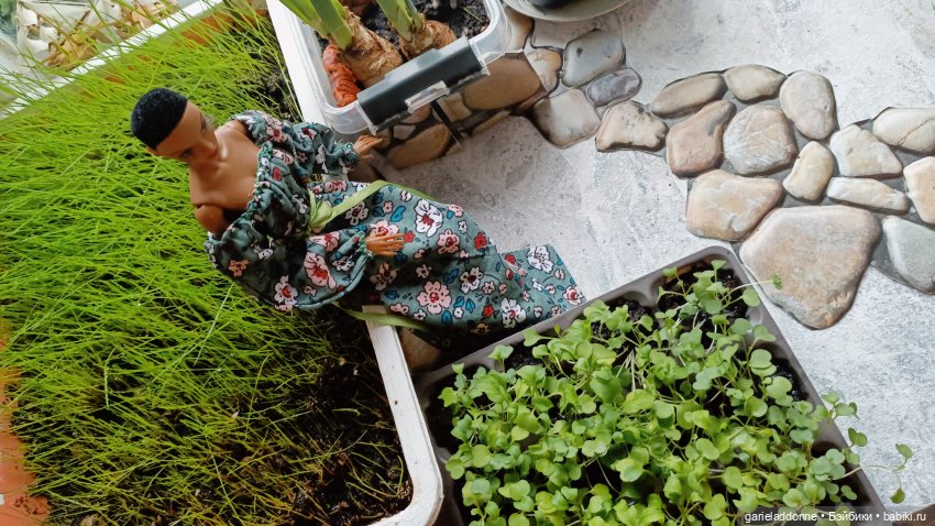 Дожили до весны | Бэйбики Дожили до весны — Проба пера: рассказы