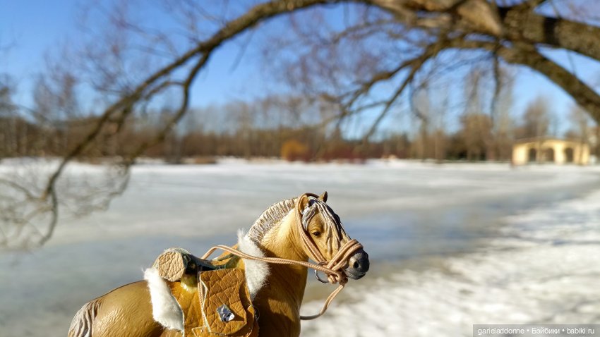 Для прекрасных леди!( В поисках обетованной земли)