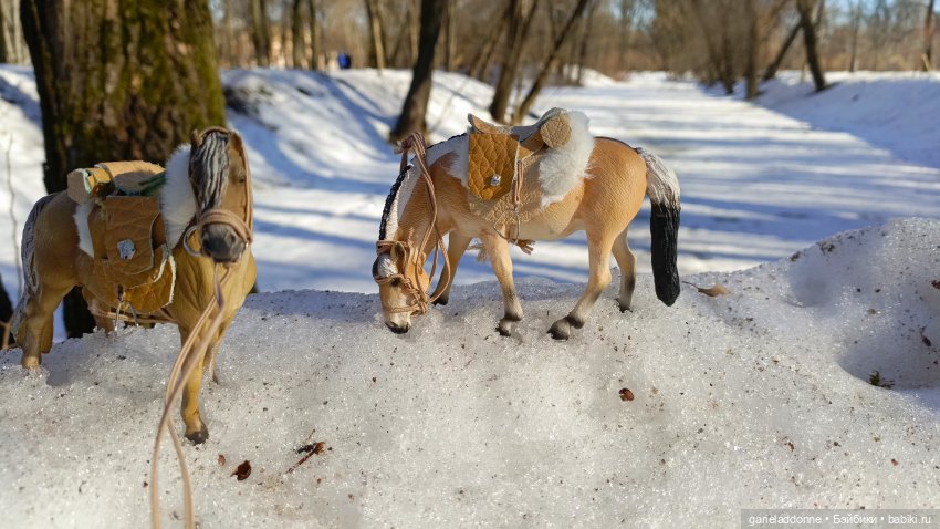 Для прекрасных леди!( В поисках обетованной земли)