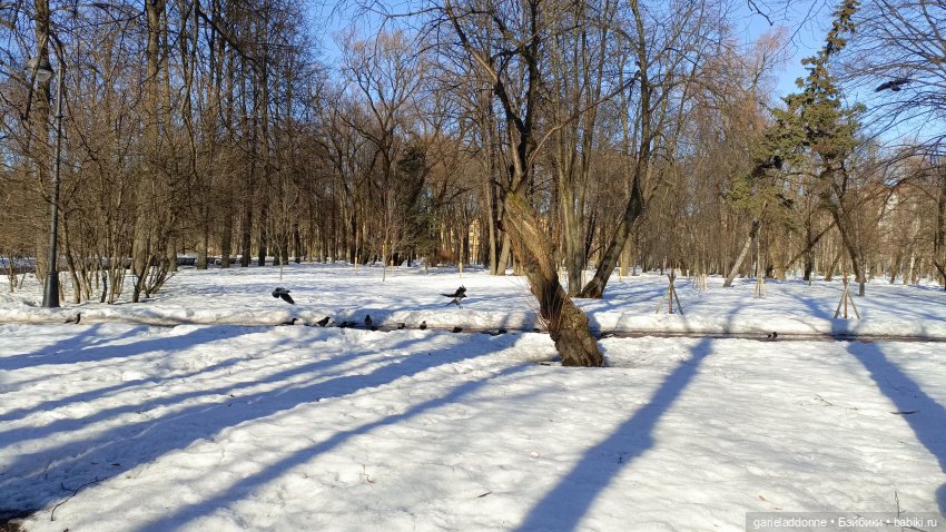 Для прекрасных леди!( В поисках обетованной земли)