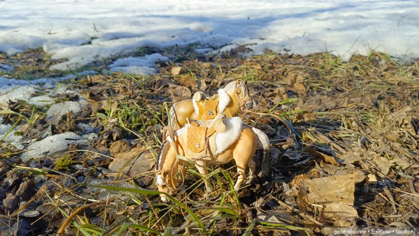 Для прекрасных леди!( В поисках обетованной земли)