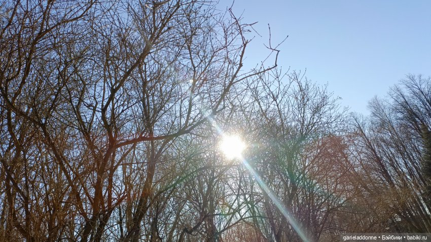 Для прекрасных леди!( В поисках обетованной земли)