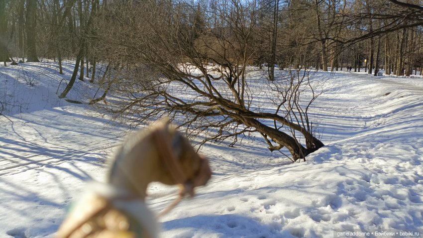 Для прекрасных леди!( В поисках обетованной земли)