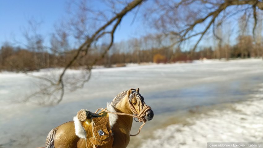 Для прекрасных леди!( В поисках обетованной земли) (фото 5)