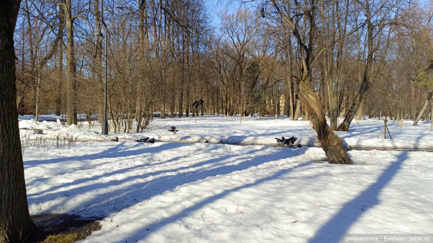 Для прекрасных леди!( В поисках обетованной земли)