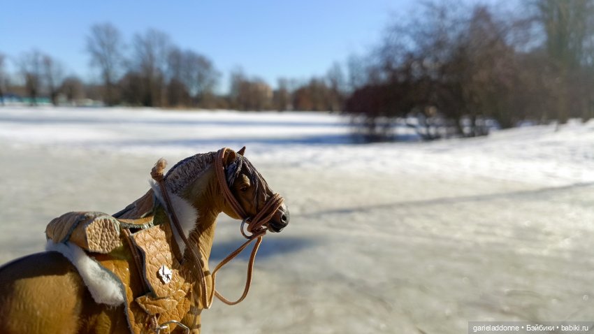 Для прекрасных леди!( В поисках обетованной земли)