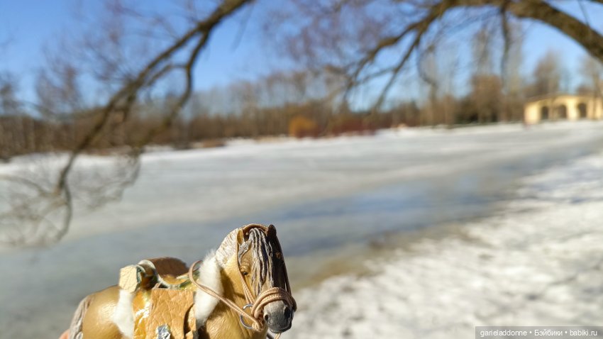 Для прекрасных леди!( В поисках обетованной земли)