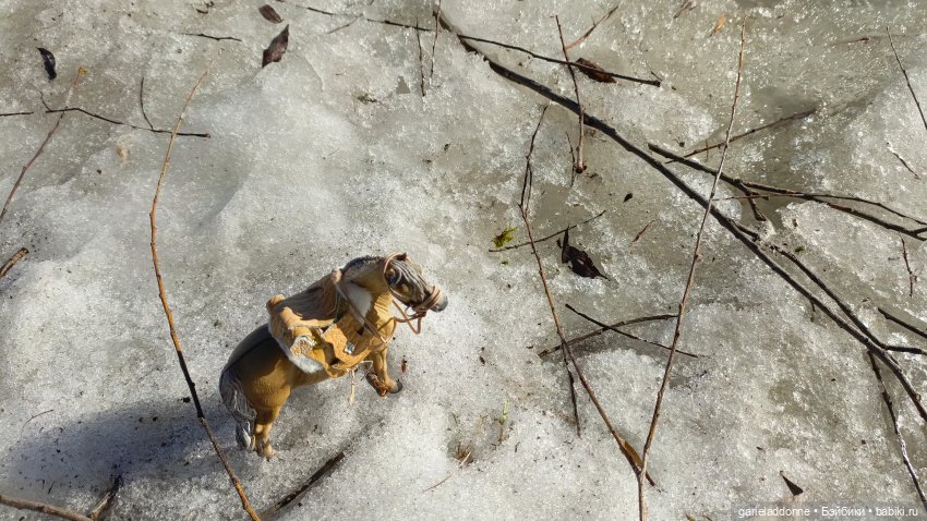 Для прекрасных леди!( В поисках обетованной земли)