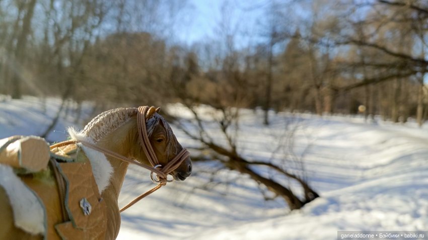 Для прекрасных леди!( В поисках обетованной земли)