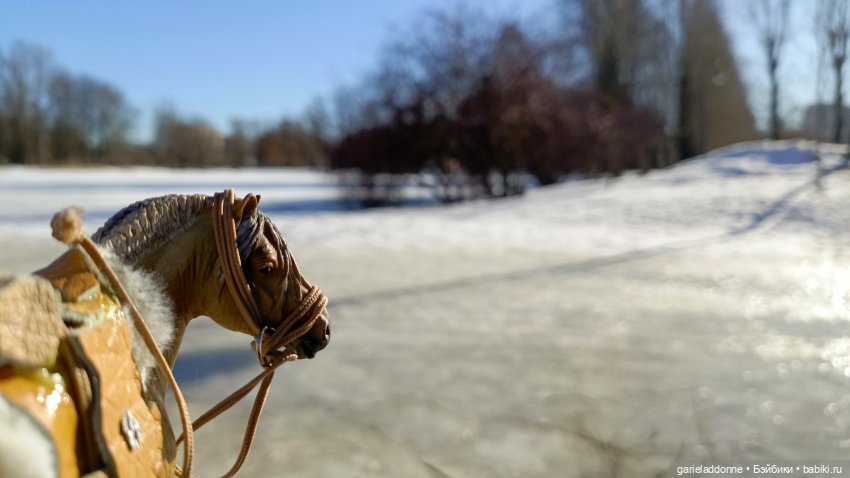 Для прекрасных леди!( В поисках обетованной земли)