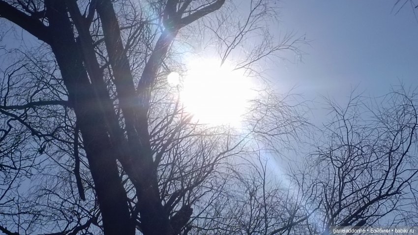 Для прекрасных леди!( В поисках обетованной земли)