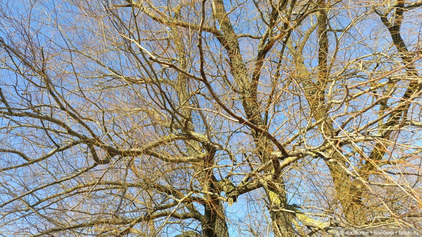 Для прекрасных леди!( В поисках обетованной земли)