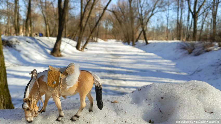 Для прекрасных леди!( В поисках обетованной земли)