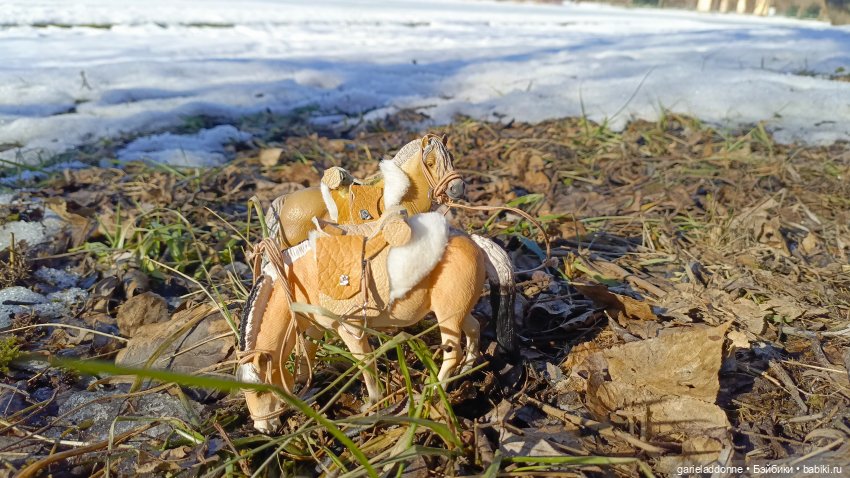 Для прекрасных леди!( В поисках обетованной земли)