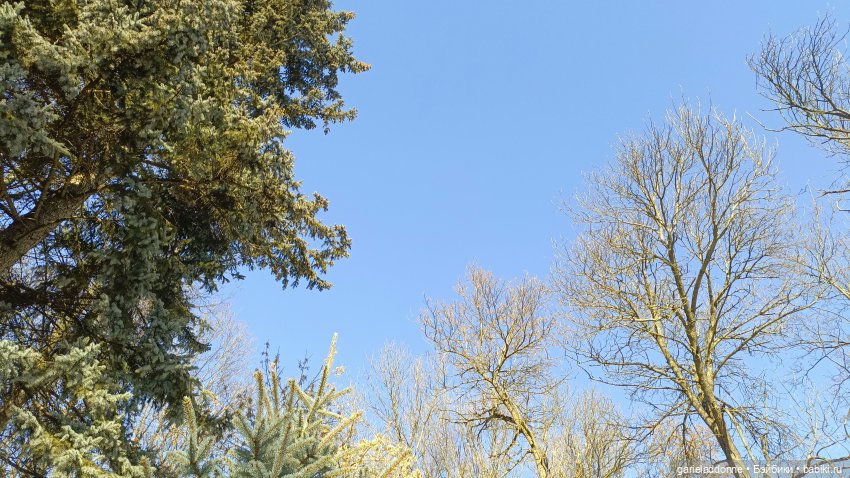 Для прекрасных леди!( В поисках обетованной земли)