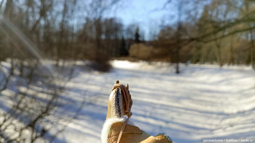 Для прекрасных леди!( В поисках обетованной земли)