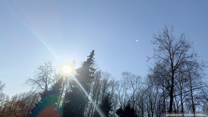 Для прекрасных леди!( В поисках обетованной земли)