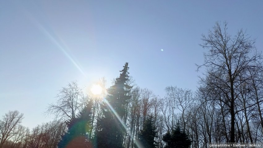 Для прекрасных леди!( В поисках обетованной земли)